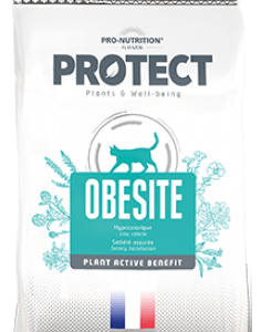 Protect Obesite (Gatos)