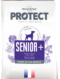 Protect Senior (Perros)
